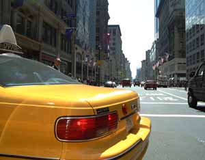 Picture taken with the Fujix DS-300 digital camera