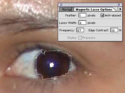 Magnetic Lasso tool selection