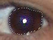 Magnetic Lasso tool result